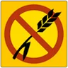 Senza Glutine app icon