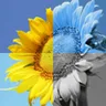 Photo Fun with Sepia Effect app icon